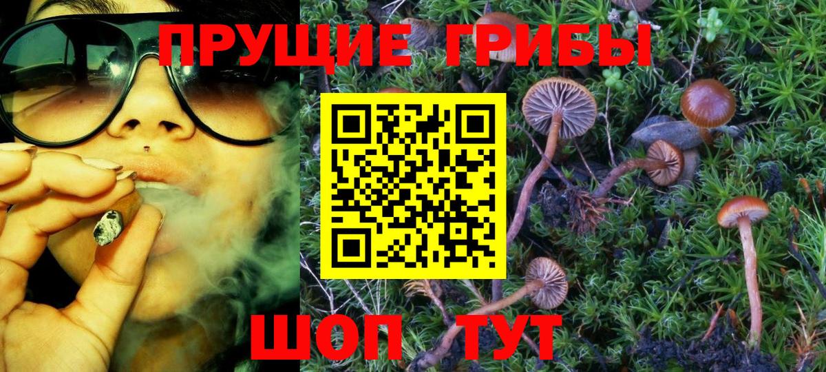 Галлюциногенные грибы ЛСД  Вход с VPN  Кыштым 